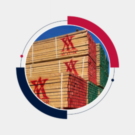 Whitewood timber supplied by Al Yusr International in Oman